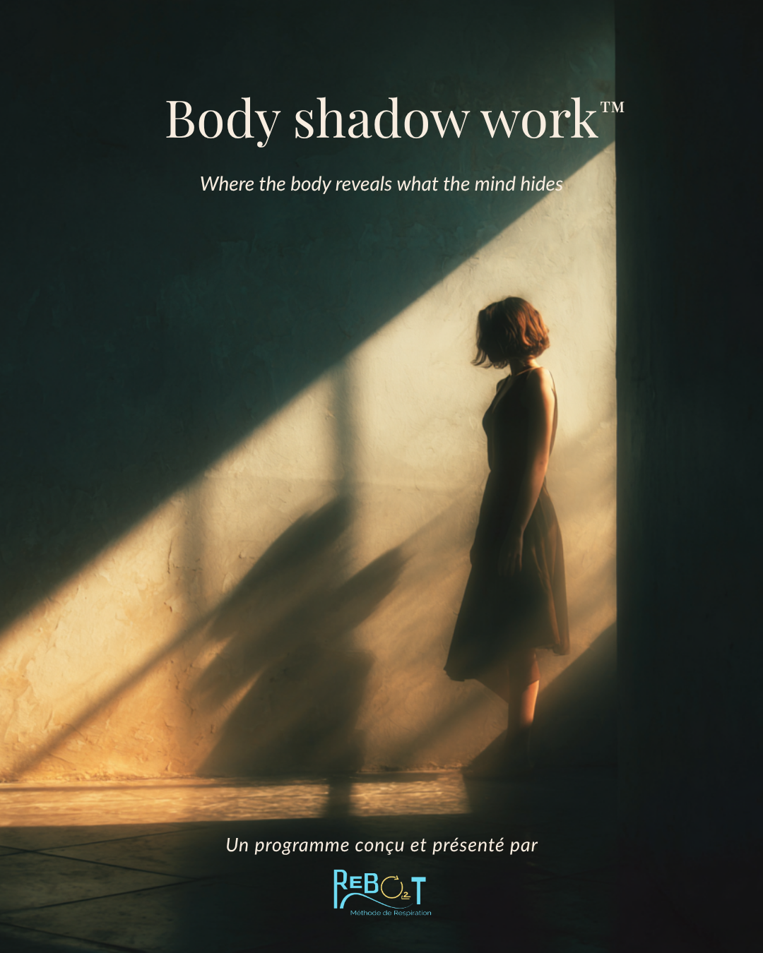 body shadow work
